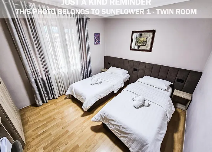 Sunflower Rooms